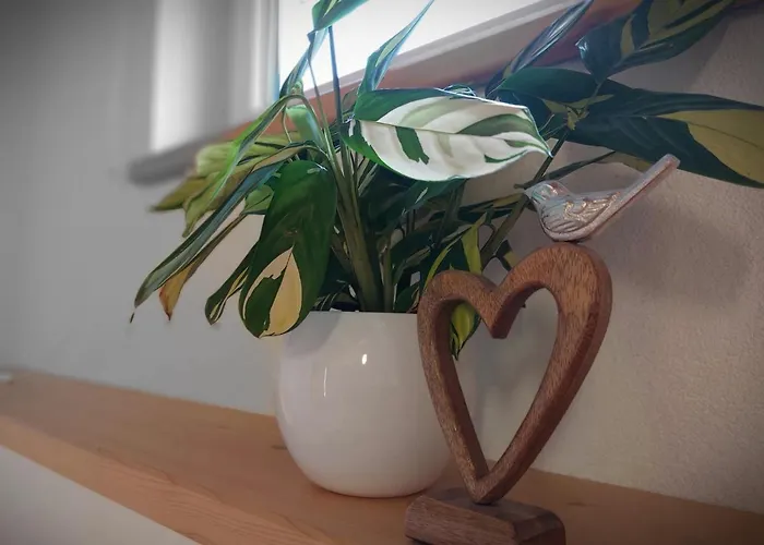 Amelie -1- Mit Wallbox Fuer E-autos