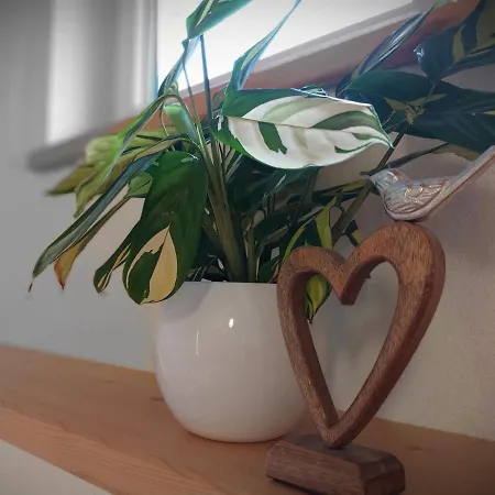 Amelie -1- Mit Wallbox Fuer E-autos